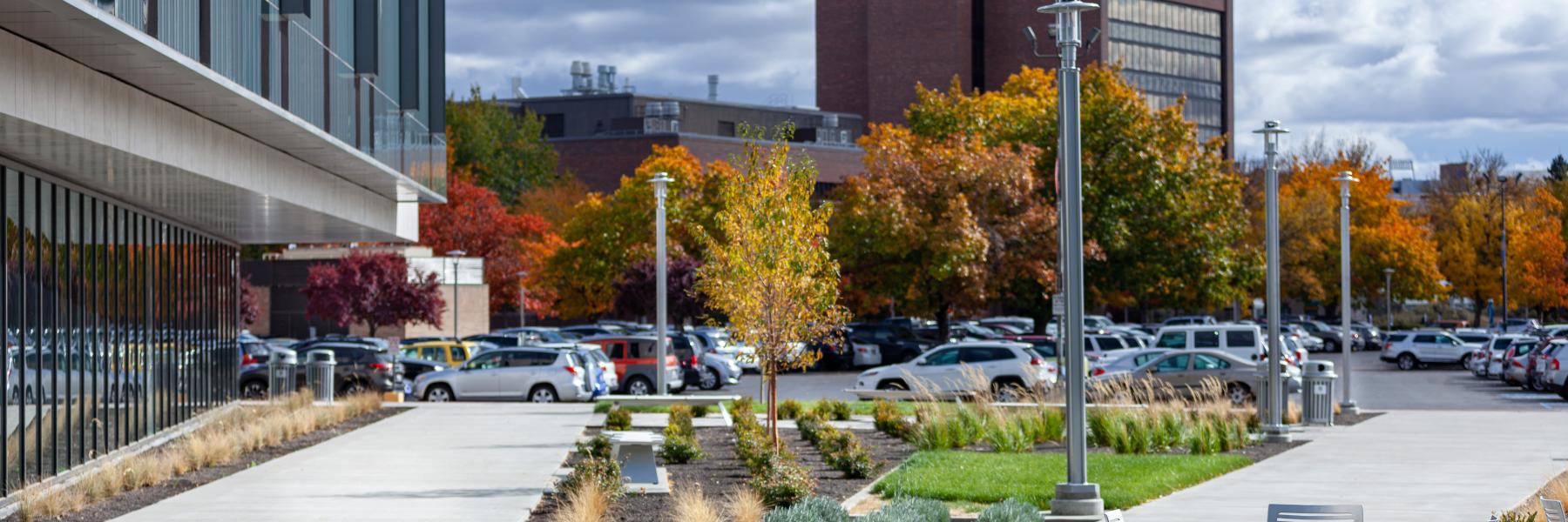 BSU